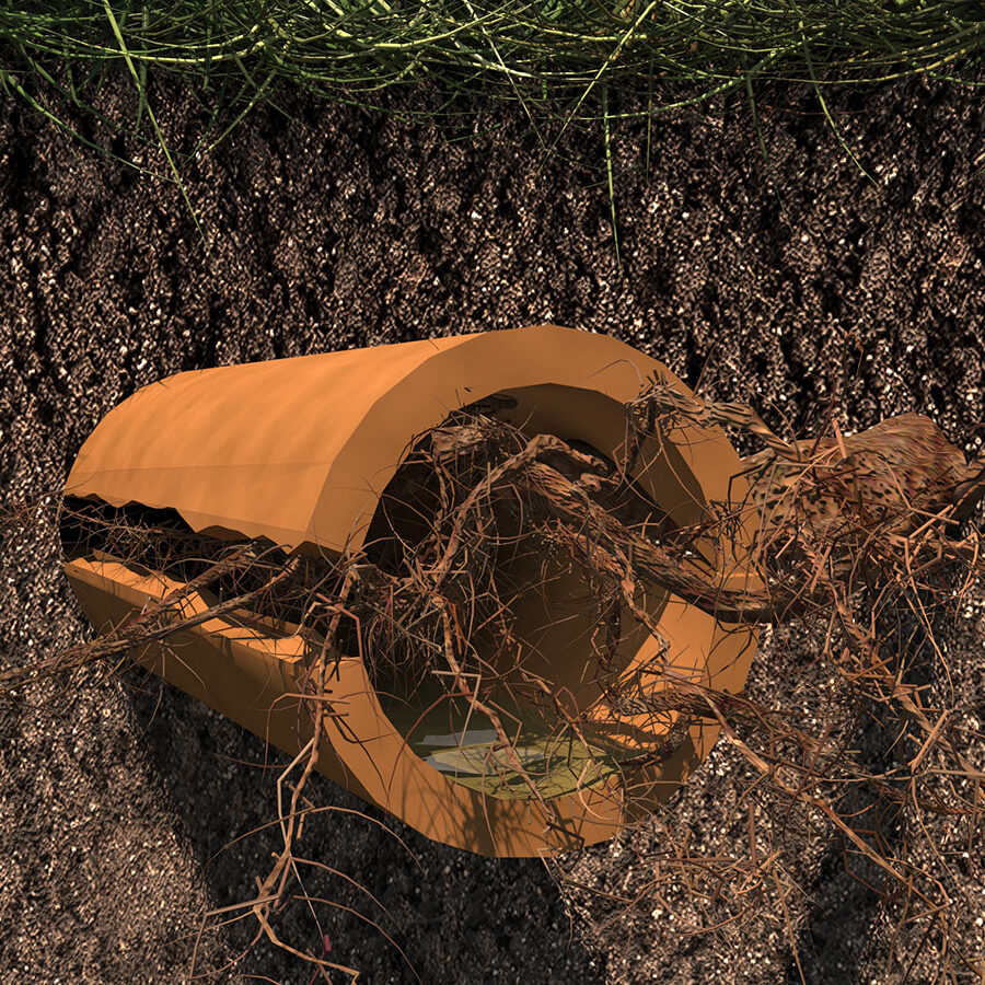 tree-root-intrusion